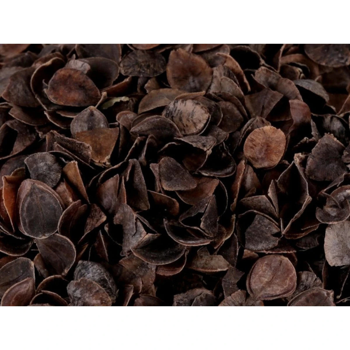 Pohankové slupky 1 kg BIO kvalita