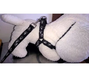Postroj (kšíry)+ vodítko nylon pro menší psy