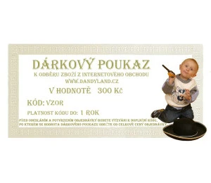 Dárkový poukaz v hodnotě 300,- Kč